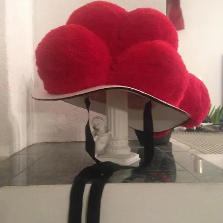 ゲストハウス Gaestehaus Tante Tienchen 7 Minuten Zu Fuss Zum Europa Park , Kostenloses Parkplatzticket Rulantica ,alle Unsere Haben Einen Balkon ルスト