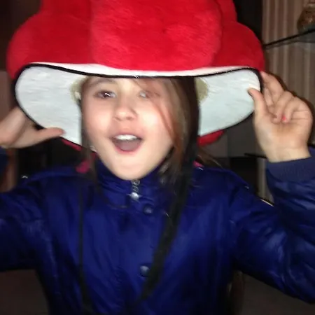 Gaestehaus Tante Tienchen 7 Minuten Zu Fuss Zum Europa Park , Kostenloses Parkplatzticket Rulantica ,alle Unsere Haben Einen Balkon 3*