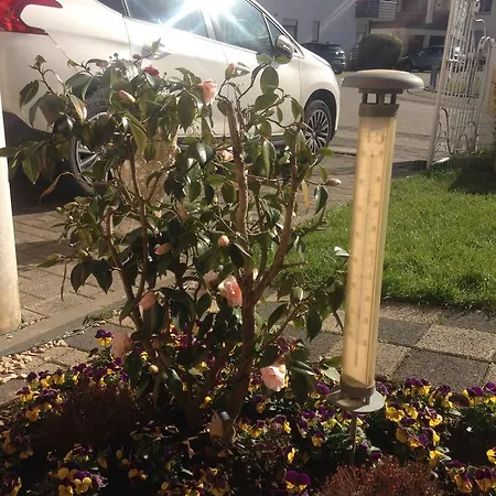 Gaestehaus Tante Tienchen 7 Minuten Zu Fuss Zum Europa Park , Kostenloses Parkplatzticket Rulantica ,alle Unsere Haben Einen Balkon 3* ルスト