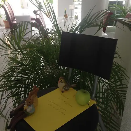 Gaestehaus Tante Tienchen 7 Minuten Zu Fuss Zum Europa Park , Kostenloses Parkplatzticket Rulantica ,alle Unsere Haben Einen Balkon 3*