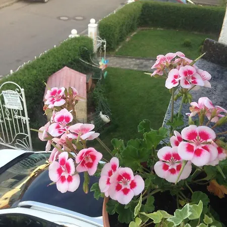 Affittacamere Gaestehaus Tante Tienchen 7 Minuten Zu Fuss Zum Europa Park , Kostenloses Parkplatzticket Rulantica ,alle Unsere Haben Einen Balkon Rust