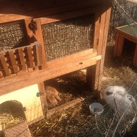 Gaestehaus Tante Tienchen 7 Minuten Zu Fuss Zum Europa Park , Kostenloses Parkplatzticket Rulantica ,alle Unsere Haben Einen Balkon 3*