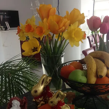 Gaestehaus Tante Tienchen 7 Minuten Zu Fuss Zum Europa Park , Kostenloses Parkplatzticket Rulantica ,alle Unsere Haben Einen Balkon